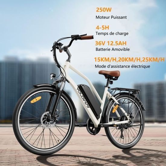 YOLOWAY C10 Vélo Électrique 26″ – Moteur 250W – Batterie Amovible 36V 12.5Ah – Autonomie 90km