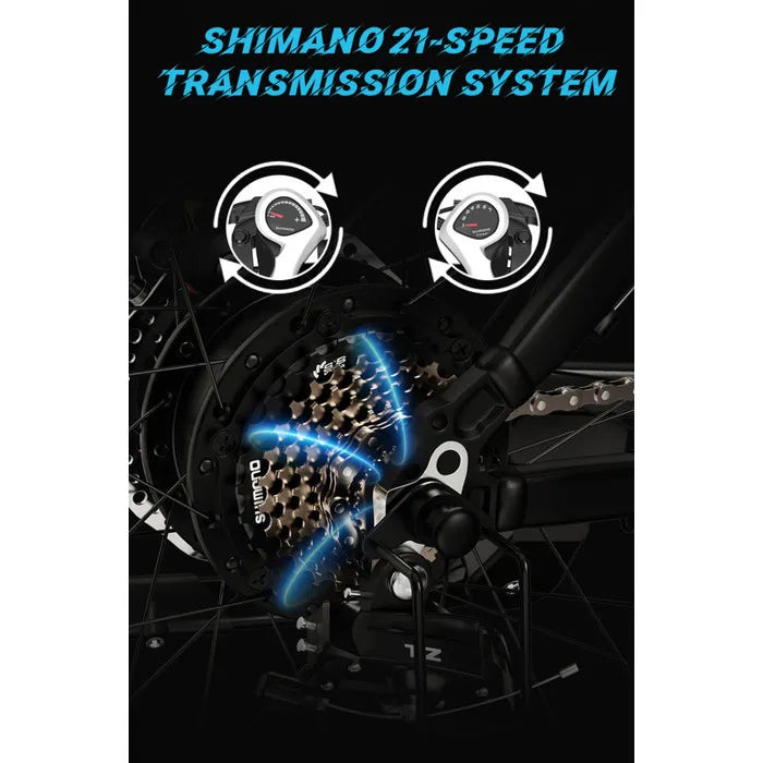 DUOTTS C29 Vélo Électrique 29" - Motor 750W Batterie Amovible 48V/15Ah,Shimano 21