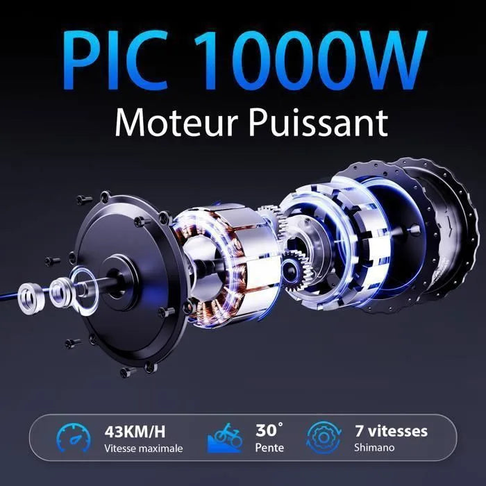 SPATIAL Vélo électrique 26"*4 Vert-Moteur 1000W- Batterie 48V13Ah- Shimano 7 Vitesses - VTT Ville E-Bike