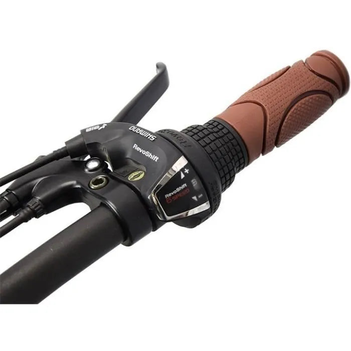 Vélo à assistance électrique SURPASS SURVAEPLIANTN 20 » Noir 6 vitesses Pliant Batterie 10 Ah
